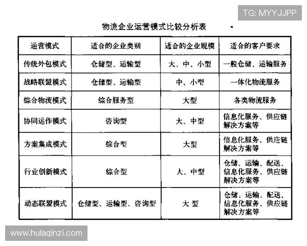 南京乒乓球队运营分析：成功经验与不足之处的深度剖析