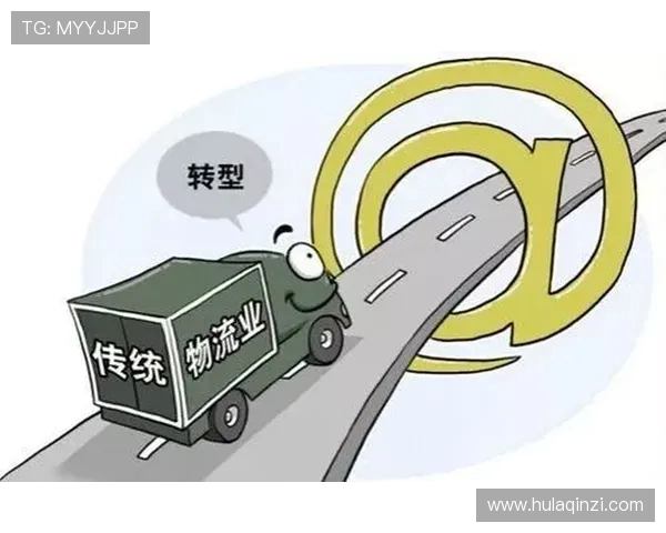 南京排球队运营革新探索：从传统到现代化的转型之路