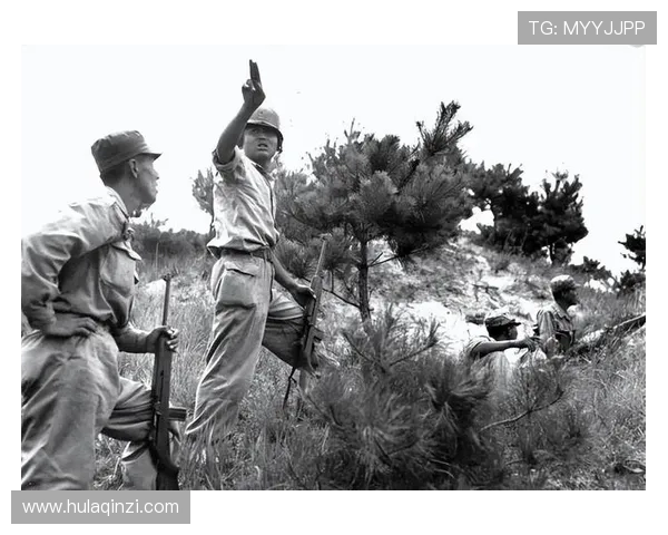 吴娜独家分享CSGO游戏心得与技巧助你提升战斗力与团队协作能力