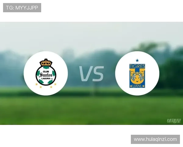 2017年墨美洲对阵老虎大学的精彩赛事回顾与分析