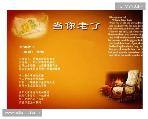 刘铮的奋斗历程与成就探秘：从平凡到卓越的精彩人生故事