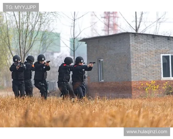 武汉排球队阵地战打法深度分析与战术解读